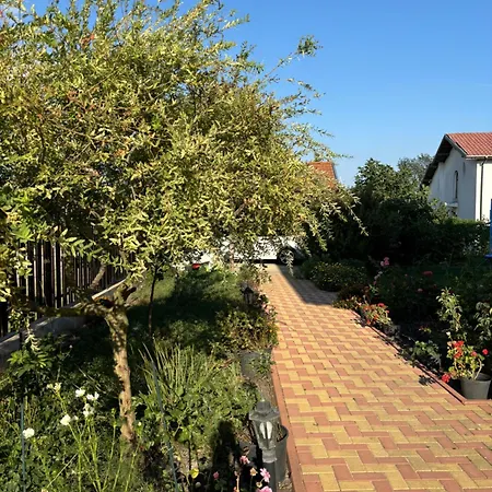 빌라 Rose Trastikovo