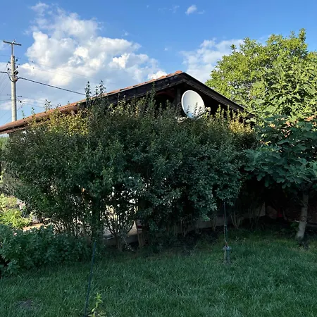 Rose 빌라 Trastikovo