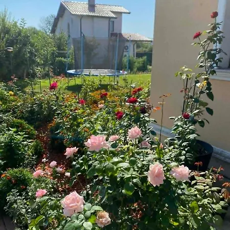 Вилла Rose *