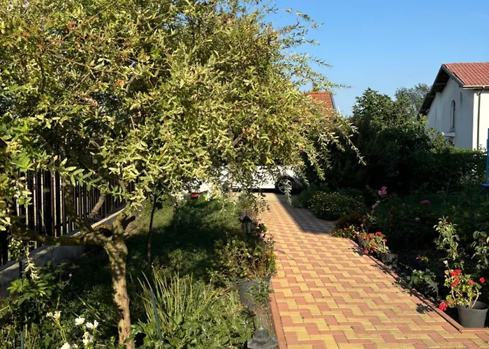 فيلة Rose Trastikovo